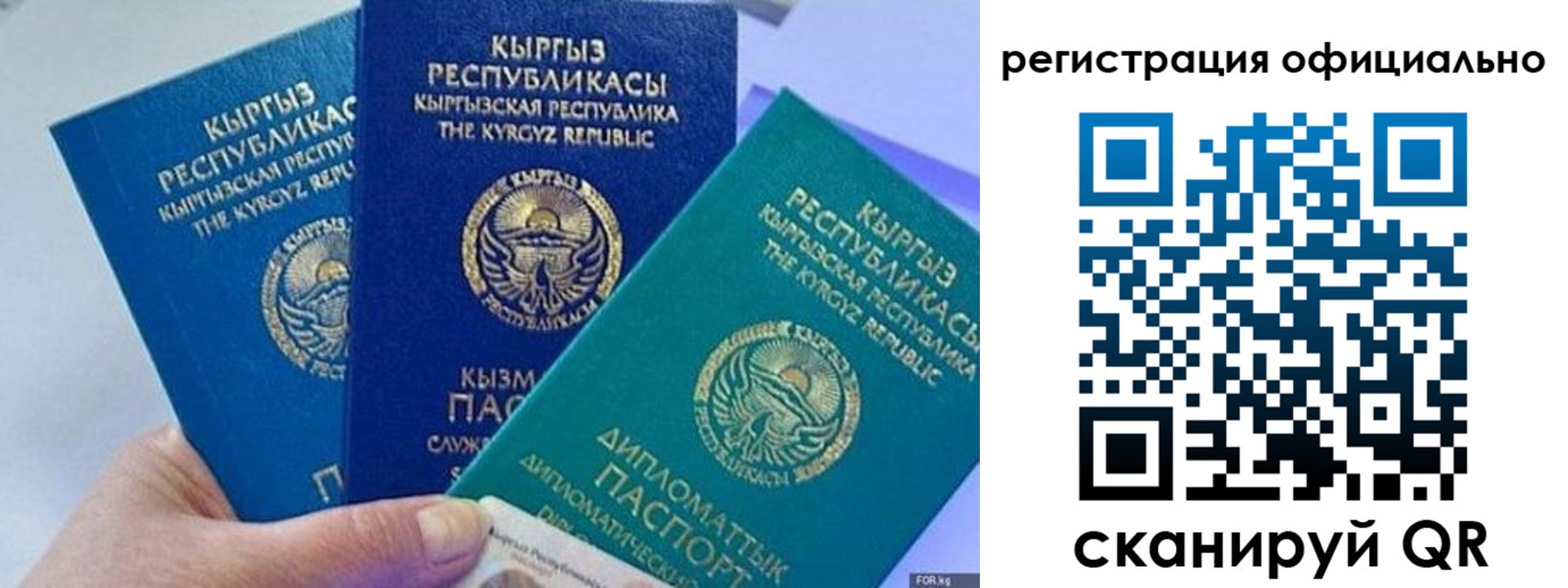 прописка в Щёкино